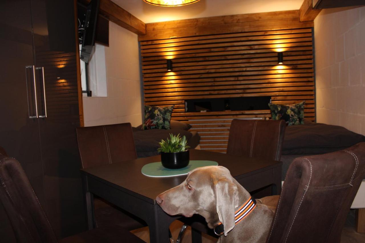 Kleine Souterrain Wohnung Naehe Hamburg Neu Wulmstorf Esterno foto